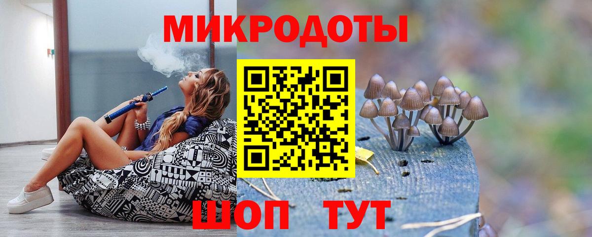 Псилоцибиновые грибы мицелий Новокуйбышевск